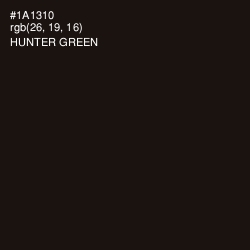 #1A1310 - Hunter Green Color Image